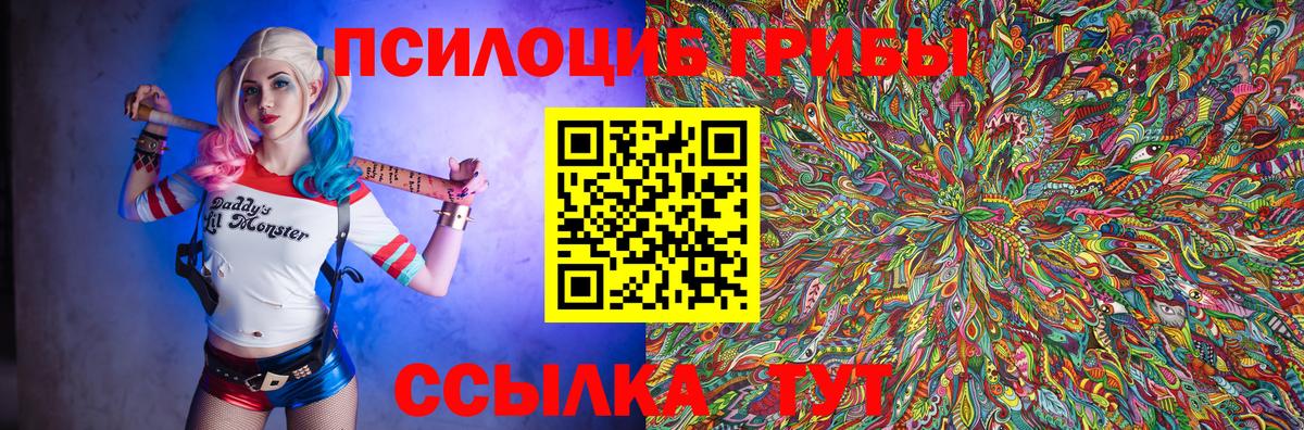 Псилоцибиновые грибы мухоморы  где купить   Кохма  Вход с VPN 
