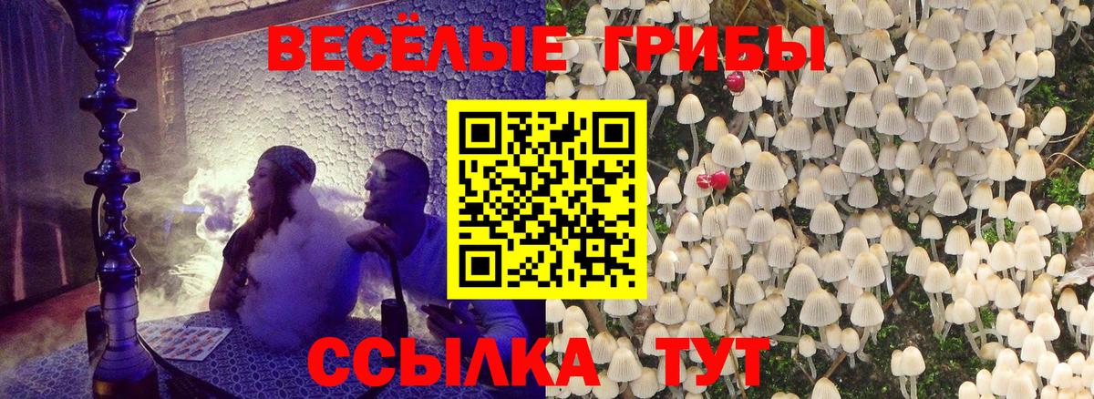 Псилоцибиновые грибы Cubensis Кохма
