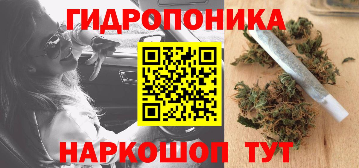 Каннабис OG Kush Кохма